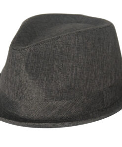 Fedora Leisure Hat