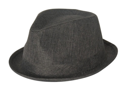 Fedora Leisure Hat