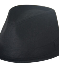 Fedora Leisure Hats 3