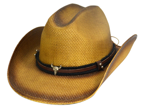 Paper Straw Cowboy Hats 1