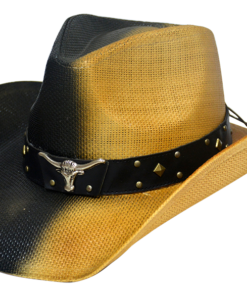 Paper Straw Cowboy Hats