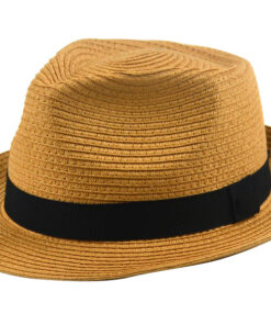 Stylish And Simple Fedora Hat 1