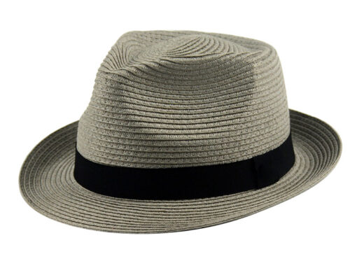 Stylish And Simple Fedora Hat