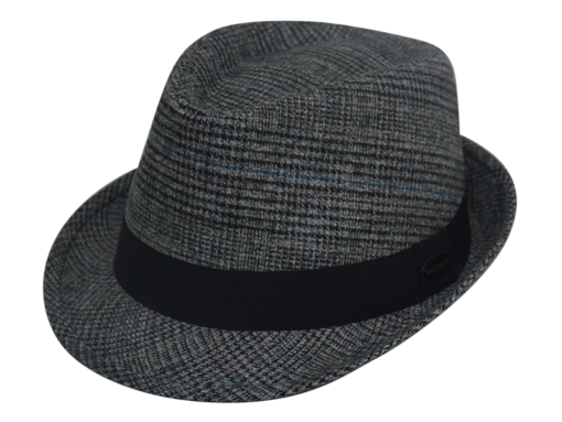 Unisex Fedora Hats 2