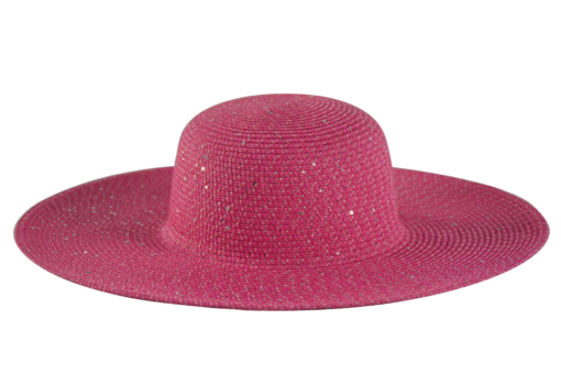 Women Fedora Outdoor Hats 1